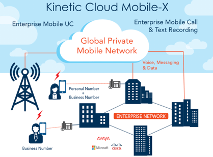 Global Private Mobile Network